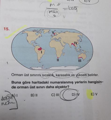 -bag
max
V
15.
V
Orman üst sınırını sıcaklık, karasallik ve yükselti belirler.
Buna göre haritadaki numaralanmış yerlerin hangisin-
de orman üst sınırı daha alçaktır?
1 B) 11 C) III D) W E) V
baginy
nem
