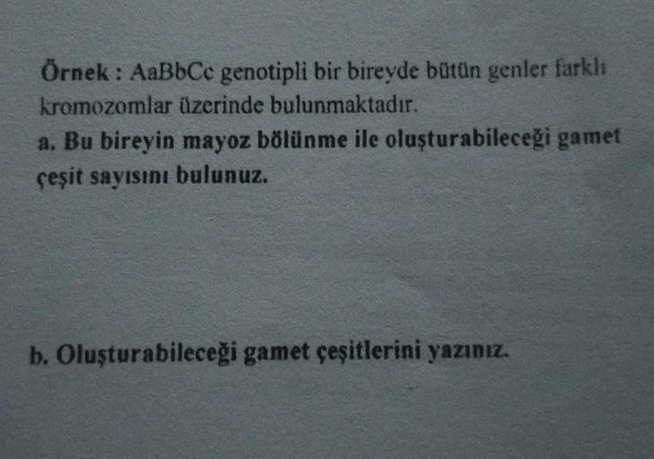 Örnek: AaBbCc genotipli bir bireyde bütün genler farklı
kromozomlar üzerinde bulunmaktadır.
a. Bu bireyin mayoz bölünme ile oluşturabileceği gamet
çeşit sayısını bulunuz.
b. Oluşturabileceği gamet çeşitlerini yazınız.