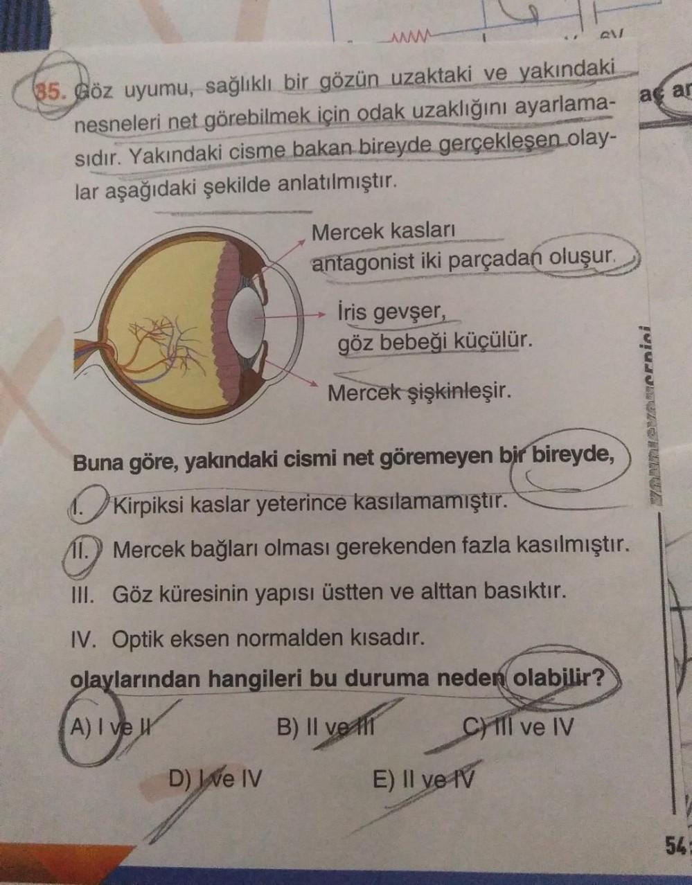 um
V
85. Göz uyumu, sağlıklı bir gözün uzaktaki ve yakındaki
nesneleri net görebilmek için odak uzaklığını ayarlama- agar
sıdır. Yakındaki cisme bakan bireyde gerçekleşen olay-
lar aşağıdaki şekilde anlatılmıştır.
Mercek kasları
antagonist iki parçadan olu