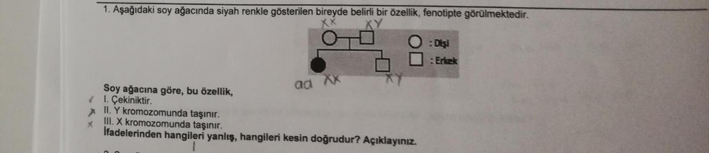 1. Aşağıdaki soy ağacında siyah renkle gösterilen bireyde belirli bir özellik, fenotipte görülmektedir.
o
- Dişi
Erkek
ad Xx
Soy ağacına göre, bu özellik,
1. Çekiniktir.
II. Y kromozomunda taşınır.
III. X kromozomunda taşınır.
Ifadelerinden hangileri yanlı