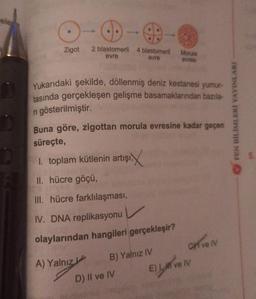 ele
Zigot
2 blastomerli
evre
4 blastomerli
evre
Morula
evresi
Yukarıdaki şekilde, döllenmiş deniz kestanesi yumur-
tasında gerçekleşen gelişme basamaklarından bazıla-
ni gösterilmiştir.
FEN BILIMLERI YAYINLARI
Buna göre, zigottan morula evresine kadar geçen
süreçte,
1. toplam kütlenin artışı,
II. hücre göçü,
III. hücre farklılaşması,
IV. DNA replikasyonu
V
olaylarından hangileri gerçekleşir?
A) Yalnız
B) Yalnız IV
CAVEN
D) II ve IV E) IMI ve IV
)
