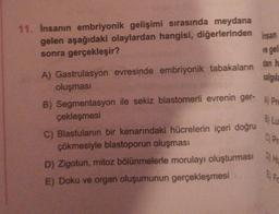 insan
11. Insanın embriyonik gelişimi sırasında meydana
gelen aşağıdaki olaylardan hangisi, diğerlerinden
sonra gerçekleşir?
ve gel
A) Gastrulasyon evresinde embriyonik tabakaların
dan h
oluşması
salgıla
B) Segmentasyon ile sekiz blastomerli evrenin ger- A) Pre
çekleşmesi
C) Blastulanın bir kenarındaki hücrelerin içeri doğru
çökmesiyle blastoporun oluşması
D) Zigotun, mitoz bölünmelerle morulayı oluşturması OH
E) Doku ve organ oluşumunun gerçekleşmesi
B) Lu
CP
EFE
