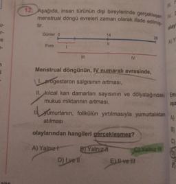 12. Aşağıda, insan türünün dişi bireylerinde gerçekleşen
menstrual döngü evreleri zaman olarak ifade edilmiş
tir.
olay
T-
re
Günler 0
14
28
Evre
II
AY
MI
IV
Menstrual döngünün, IV numaralı evresinde,
1. progesteron salgısının artması,
II. kılcal kan damarları sayısının ve dölyatağındaki Em
mukus miktarının artması,
aşa
il yumurtanın, folikülün yırtılmasıyla yumurtalıktan
atılması
A)
B)
olaylarından hangileri gerceklesmez?
C) Yalnız III
A) Yalnız BJ Yalnız h
D) I ve 1
E) Il ve Ill