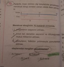 12. Aşağıda, insan türünün dişi bireylerinde gerçekleşen
menstrual döngü evreleri zaman olarak ifade edilmiş
tir.
olay
T-
re
Günler 0
14
28
Evre
II
AY
MI
IV
Menstrual döngünün, IV numaralı evresinde,
1. progesteron salgısının artması,
II. kılcal kan damarları sayısının ve dölyatağındaki Em
mukus miktarının artması,
aşa
il yumurtanın, folikülün yırtılmasıyla yumurtalıktan
atılması
A)
B)
olaylarından hangileri gerceklesmez?
C) Yalnız III
A) Yalnız BJ Yalnız h
D) I ve 1
E) Il ve Ill
