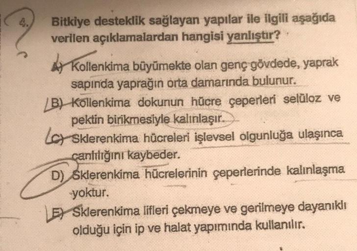 Bitkiye desteklik sağlayan yapılar ile ilgili aşağıda
verilen açıklamalardan hangisi yanlıştır?
4 Kollenkima büyümekte olan genç gövdede, yaprak
sapında yaprağın orta damarında bulunur.
B) Kollenkima dokunun hücre çeperleri selüloz ve
pektin birikmesiyle k