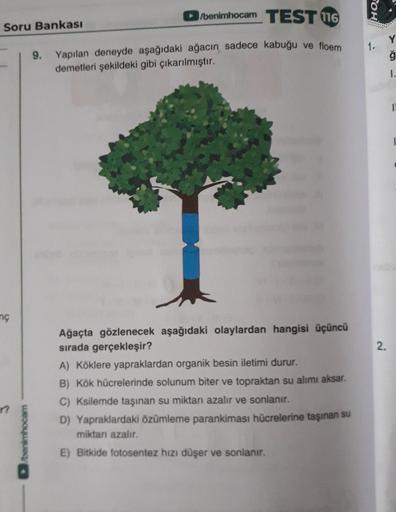 /benimhocam TEST 116
POH
Soru Bankası
Y
1.
ģ
9. Yapılan deneyde aşağıdaki ağacın sadece kabuğu ve floem
demetleri şekildeki gibi çıkarılmıştır.
I.
nç
2.
Ağaçta gözlenecek aşağıdaki olaylardan hangisi üçüncü
sırada gerçekleşir?
A) Köklere yapraklardan organ