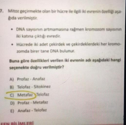 7. Mitor geçirmekte olan bir hücre ile ilgili ik ev… Biyoloji 7. Mitor geçirmekte olan bir hücre ile ilgili ik ev… Biyoloji