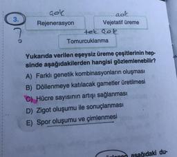 3.
gol
aok
Rejenerasyon
Vejetatif üreme
tek cok
Tomurcuklanma
Yukarıda verilen eşeysiz üreme çeşitlerinin hep-
sinde aşağıdakilerden hangisi gözlemlenebilir?
A) Farklı genetik kombinasyonların oluşması
B) Döllenmeye katılacak gametler üretilmesi
C) Hücre sayısının artışı sağlanması
D) Zigot oluşumu ile sonuçlanması
E) Spor oluşumu ve çimlenmesi
ilonan asağıdaki du-