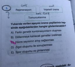 3.
gol
aok
Rejenerasyon
Vejetatif üreme
tek cok
Tomurcuklanma
Yukarıda verilen eşeysiz üreme çeşitlerinin hep-
sinde aşağıdakilerden hangisi gözlemlenebilir?
A) Farklı genetik kombinasyonların oluşması
B) Döllenmeye katılacak gametler üretilmesi
C) Hücre sayısının artışı sağlanması
D) Zigot oluşumu ile sonuçlanması
E) Spor oluşumu ve çimlenmesi
ilonan asağıdaki du-
