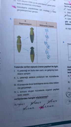 Ola-
Tum olaylan DNA ya da çekirdekten gelen emir-
lerle denetlemek zorundadır.
E) Dokulaşma yapabilmesi için mutlaka olayı
gerçekleştirmesi gerekir.
Resimler
toz ile ge
X. Tetra
II. DNA
W. Kros:
7.
K
Rejenerasyon
W. Çekil
gibi du
bekleni
Bölünerek Üreme
A