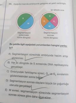 api-
33. Aşağıda insanda embriyonik gelişime ait şekil verilmiştir.
M: Mitotik evre
S
19
M
M
Segmentasyon
sürecindeki
hücre döngüsü
Segmentasyon
sonrası
hücre döngüsü
Bu şekille ilgili aşağıdaki yorumlardan hangisi yanlış-
tir?
A) Segmentasyon sürecinde embriyoda hacim artışı
gözlenmez.
B) Her ki döngüde de S evresinde DNA replikasyonu
gerçekleşir.
C) Embriyodaki farklılaşma süreci, G, ve G, evrelerinin
gözlenmesinden sonra başlar.
D) Segmentasyon sonrası olayların büyük bir çoğunluğu
uterusta gerçekleşir.
E) M evresi, segmentasyon sürecinde segmentasyon
sonrası sürece göre daha uzun sürer.