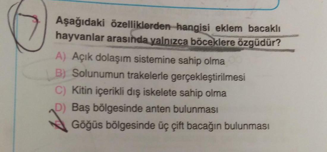Aşağıdaki özelliklerden hangisi eklem bacaklı
hayvanlar arasında yalnızca böceklere özgüdür?
A) Açık dolaşım sistemine sahip olma
B) Solunumun trakelerle gerçekleştirilmesi
C) Kitin içerikli dış iskelete sahip olma
D) Baş bölgesinde anten bulunması
Göğüs b