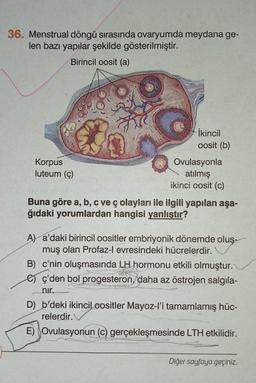 36. Menstrual döngü sırasında ovaryumda meydana ge-
len bazı yapılar şekilde gösterilmiştir.
Birincil oosit (a)
İkincil
oosit (b)
Korpus
luteum (ç)
Ovulasyonla
atılmış
ikinci oosit (c)
Buna göre a, b, c ve ç olayları ile ilgili yapılan aşa-
ğıdaki yorumlardan hangisi yanlıştır?
A) a'daki birincil oositler embriyonik dönemde oluş-
muş olan Profaz-l evresindeki hücrelerdir.
B) c'nin oluşmasında LH hormonu etkili olmuştur.
e ç'den bol progesteron, daha az östrojen salgila-
nir.
D b'deki ikincil oositler Mayoz-l'i tamamlamış hüc-
relerdir.
E) Ovulasyonun (C) gerçekleşmesinde LTH etkilidir.
Diğer sayfaya geçiniz.