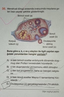 36. Menstrual döngü sırasında ovaryumda meydana ge-
len bazı yapılar şekilde gösterilmiştir.
Birincil oosit (a)
İkincil
oosit (b)
Korpus
luteum (ç)
Ovulasyonla
atılmış
ikinci oosit (c)
Buna göre a, b, c ve ç olayları ile ilgili yapılan aşa-
ğıdaki yorumlardan hangisi yanlıştır?
A) a'daki birincil oositler embriyonik dönemde oluş-
muş olan Profaz-l evresindeki hücrelerdir.
B) c'nin oluşmasında LH hormonu etkili olmuştur.
e ç'den bol progesteron, daha az östrojen salgila-
nir.
D b'deki ikincil oositler Mayoz-l'i tamamlamış hüc-
relerdir.
E) Ovulasyonun (C) gerçekleşmesinde LTH etkilidir.
Diğer sayfaya geçiniz.
