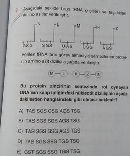 3. Aşağıdaki şekilde bazı tRNA çeşitleri ve taşıdıkları
amino asitler verilmiştir.
K
-M
-N
Z
4365 TAš us
TH
GSG SGS UAS
USG AGS
T
Verilen tRNA'ların görev almasıyla sentezlenen protei-
nin amino asit dizilişi aşağıda verilmiştir.
M
L
K
Z N
Bu protein zincirinin sentezinde rol oynayan
DNA'nın kalıp ipliğindeki nükleotit dizilişinin aşağı-
dakilerden hangisindeki gibi olması beklenir?
A) TAS SGS GSG AGS TSG
B) TAS SGS SGS AGS TSG
C) TAS SGS GSG AGS TGS
D) TAS SGS SSG TGS TSG
E) GST SGS SSG TGS TSG
