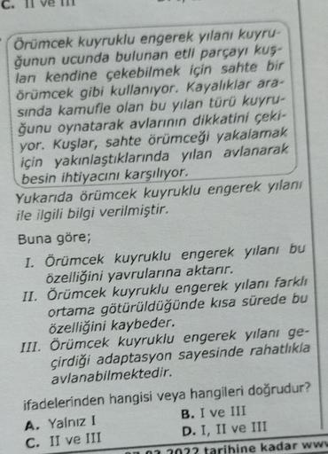 Örümcek kuyruklu engerek yılanı kuyru-
ğunun ucunda bulunan etli parçayı kus-
ları kendine çekebilmek için sahte bir
örümcek gibi kullanıyor. Kayalıklar ara-
sında kamufle olan bu yılan türü kuyru-
ğunu oynatarak avlarının dikkatini çeki-
yor. Kuşlar, saht