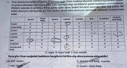 11. Sinan akvaryuma meraklı bir gençtir. Iki lepistesi vardır. Onları saatlerce izleyebilir. Ozellikle lepisteslerin bitkile
rin arasına saklanışları çok hoşuna gider, onları bulmaya çalışır. İşte böyle bir günde lepistesinin birini bulamaz.
Bitkilerin arasında da göremez. Birkaç dakika sonra cansız bedeni kumların arasından çıkar. Çok üzülür. Tek
balıkla akvaryum olamayacağı için farklı balıklar almak üzere akvaryum uyumluluk tablosunu inceleyemeye
başlar.
Vantuzlu
Kedi Balığı
U
U
U
Z
QE
NI
NiN
U
Barplar
Çöpçü
Gurami Lepistes
Loachlar Moli Su bitkileri
Balığı
U
U
U
Barplar
U
29
U
U
U
Çöpçü Balığı
U
U
U
U
U
U
Gurami
U
U
U
U
U
U
Lepistes
z
U
U
Z
U
U
Loachlar
U
U
U
U
Z
U
Moli
U
U
Z
U
Z
Su Bitkileri
U
U
U
Z
U
Vantuzlu Kedi U
U
Z
U
U
Balığı
U: Uygun N: Uygun Değil Z: Zarar verebilir.
Buna göre Sinan aşağıdaki balıkların hangilerini birlikte alıp akvaryumuna ekleyebilir?
JA) Moli - Gurami
8) Vantuzla Kedi Balığı - Loachlar
C) Moli - Barolar
D) Gurami - Çöpçü Baliği
Z
N
U