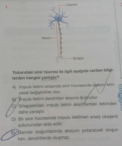 Dentrit
1.
Akson
Sinaps
Yukarıdaki sinir hücresi ile ilgili aşağıda verilen bilgi-
lerden hangisi yanlıştır?
A) Impuls iletimi sırasında sinir hücresinde elektro kim-
yasal değişiklikler olur.
By Impuls iletimi dendritten aksona doğrudur.
C) Sinapslardaki 