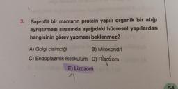 3. Saprofit bir mantarın protein yapılı organik bir atığı
ayrıştırması sırasında aşağıdaki hücresel yapılardan
hangisinin görev yapması beklenmez?
A) Golgi cisimciği
B) Mitokondri
C) Endoplazmik Retikulum D) Ribozom
E) Lizozom
1
54
