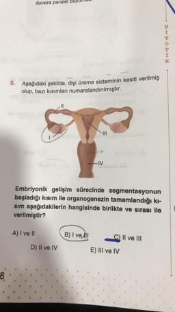 duvara paralel
HHOk land be
K
Aşağıdaki şekilde, dişi üreme sisteminin kesiti verilmiş
olup, bazı kısımları numaralandırılmıştır.
III
-IV
Embriyonik gelişim sürecinde segmentasyonun
başladığı kısım ile organogenezin tamamlandığı ki-
sim aşağıdakilerin hangisinde birlikte ve sırası ile
verilmiştir?
A) I ve 11
B) I vell
C) II ve III
D) Il ve IV
E) III ve IV
