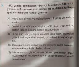 3.
1972 yılında benimsenen, ökaryot hücrelerde hücre zarı
yapısını açıklayan akıcı sivi mozaik zar modeli ile ilgili aşa-
ğıda verilenlerden hangisi yanlıştır?
A) Hücre zarı, protein ve fosfolipitlerden oluşmuş çift katlı bir
Sividır.
B) Fosfolipit tabaka zarin akışkan bölümünü oluştururken,
protein tabaka ise zara mozaik görünümü verir.
C) Hücre zarı, içeriye doğru uzanarak mitokondri, kloroplast
gibi çift zarli organelleri saran iç zar sistemini meydana ge-
tirir.
D) Hücre zarının dış yüzeyinde ona antijenik özellik kazandı-
ran az miktarda karbonhidrat bulunur.
E) Hücre zarında gömülü olarak bulunan proteinlerin çoğu,
suda çözünen maddelerin zardan geçişini sağlayan kanal-
ları oluşturur.