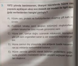 3.
1972 yılında benimsenen, ökaryot hücrelerde hücre zarı
yapısını açıklayan akıcı sivi mozaik zar modeli ile ilgili aşa-
ğıda verilenlerden hangisi yanlıştır?
A) Hücre zarı, protein ve fosfolipitlerden oluşmuş çift katlı bir
Sividır.
B) Fosfolipit tabaka zarin akışkan bölümünü oluştururken,
protein tabaka ise zara mozaik görünümü verir.
C) Hücre zarı, içeriye doğru uzanarak mitokondri, kloroplast
gibi çift zarli organelleri saran iç zar sistemini meydana ge-
tirir.
D) Hücre zarının dış yüzeyinde ona antijenik özellik kazandı-
ran az miktarda karbonhidrat bulunur.
E) Hücre zarında gömülü olarak bulunan proteinlerin çoğu,
suda çözünen maddelerin zardan geçişini sağlayan kanal-
ları oluşturur.
