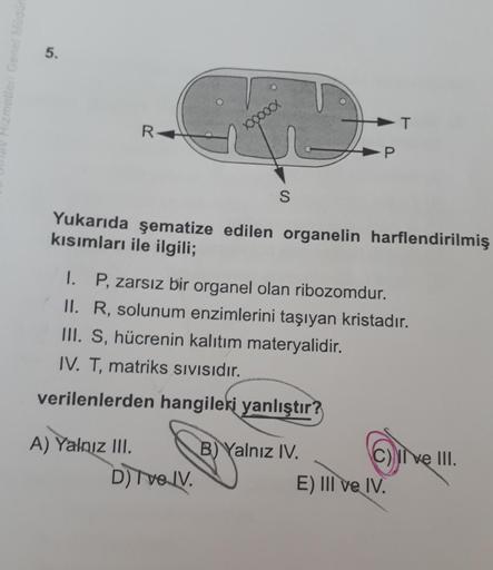 5.
zmoller Genel
Xooooo
T
R
P
S
Yukarıda şematize edilen organelin harflendirilmiş
kısımları ile ilgili;
1. P, zarsız bir organel olan ribozomdur.
II. R, solunum enzimlerini taşıyan kristadır.
III. S, hücrenin kalıtım materyalidir.
IV. T, matriks Sivisidir