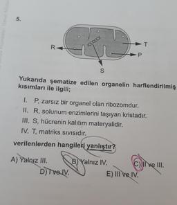 5.
zmoller Genel
Xooooo
T
R
P
S
Yukarıda şematize edilen organelin harflendirilmiş
kısımları ile ilgili;
1. P, zarsız bir organel olan ribozomdur.
II. R, solunum enzimlerini taşıyan kristadır.
III. S, hücrenin kalıtım materyalidir.
IV. T, matriks Sivisidir.
verilenlerden hangileri yanlıştır?
A) Yalnız III. B) Yalnız IV.
C) I e III.
D) Ive IV.
E) III ve IV.