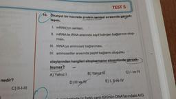 TEST 5
10. Ökaryot bir hücrede protein sentezi sırasında gerçek-
leşen;
1. mRNA'nin sentezi,
II. mRNA ile tRNA arasında zayıf hidrojen bağlarının oluş-
ması,
III. tRNA'ya aminoasit bağlanması,
IV. aminoasitler arasında peptit bağların oluşumu
olaylarından hangileri sitoplazmanın sitozolünde gerçek-
leşmez?
A) Yalnız 1
B) Yalnız ITT
C) I ve IV
D) III ve W
E) I, IWE IV
nedir?
C) 11-1-111
lalui tabloda üc farklı canli türünün DNA'larındaki AIG
