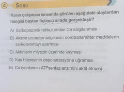 4
SORU
Kasın çalışması sırasında görülen aşağıdaki olaylardan
hangisi baştan üçüncü sırada gerçekleşir?
A) Sarkoplazmik retikulumdan Ca salgılanması
B) Akson ucundan salgılanan nörotransmitter maddelerin
sarkolemmayı uyarması
C) Aktinlerin miyozin üzerinde kayması
D) Kas hücresinin depolarizasyona uğraması
E) Ca iyonlarının ATPsentaz enzimini aktif etmesi
