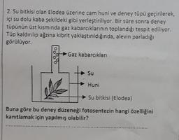 2. Su bitkisi olan Elodea üzerine cam huni ve deney tüpü geçirilerek,
içi su dolu kaba şekildeki gibi yerleştiriliyor. Bir süre sonra deney
tüpünün üst kısmında gaz kabarcıklarının toplandığı tespit ediliyor.
Tüp kaldırılıp ağzına kibrit yaklaştırıldığında, alevin parladığı
görülüyor.
00%
Gaz kabarcıkları
Su
Huni
Su bitkisi (Elodea)
Buna göre bu deney düzeneği fotosentezin hangi özelliğini
kanıtlamak için yapılmış olabilir?
