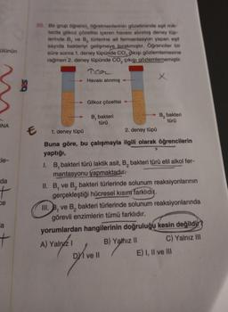 Olunun
30. Bir grup öğrenci, öğretmenlerinin gözetiminde eşit mik-
tarda glikoz çözeltisi içeren havası alinmiş deney tup-
lerinde B, ve B, türlerine ait fermantasyon yapan epit
sayıda bakteriyi gelişmeye bırakmıştır. Öğrenciler bir
süre sonra 1. deney tüpünde Co, gözlemlemesine
rağmen 2. deney tüpünde CO, çıkışı gözlemlememiştir.
Ton
Havası alınmış
2
625
Glikoz çözeltisi
bakteri
türü
B, bakteri
türü
RNA
E
1. deney tüpü
2. deney tüpü
Ele-
da
11. B,
t
ce
Buna göre, bu çalışmayla ilgili olarak öğrencilerin
yaptığı,
1. B, bakteri türü laktik asit, B, bakteri türü etil alkol fer-
mantasyonu yapmaktadır.
ve B, bakteri türlerinde solunum reaksiyonlarının
gerçekleştiği hücresel kisim farklıdır.
III.
B. ve B, bakteri türlerinde solunum reaksiyonlarında
görevli enzimlerin tümü farklıdır.
yorumlardan hangilerinin doğruluğu kesin değildir ?
B) Yalhiz 11 C) Yalnız III
DI ve II
E) I, II ve 110
a
t
A) Yalnız 1