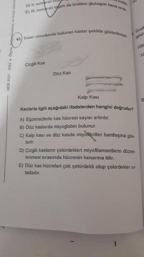 ureth
A
D) II, numbrali in
E) III, numurali opgan da üretilen glukagon kana verilir.
43.) Insan vücudunda bulunan kaslar şekilde gösterilmiştir.
6 Graf
göst
100
10
Çizgili Kas
MEB 2021 - 2022 • Olçme
Düz Kas
Kalp Kası
G
Kaslarla ilgili aşağıdaki ifadelerde