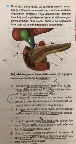 30. Karaciğer, safra kesesi ve pankreas sindirim olay -
nin gerçekleşmesinde etkili olan sindirime yardımcı
organlardır. Ürettikleri veya depoladıkları salgıları
ince bağırsağa göndererek besin sindiriminin ger-
çekleşmesinde etkili olurlar. Şekilde bu organların
ince bağırsakla olan bağlantıları gösterilmiştir.
2
endemik
Aort
3
s
ins
K
Şekildeki organlar arası etkileşimler için aşağıda
verilenlerden hangisi yanlıştır?
A) 4 organında üretilen sekretin hormonu, 2 orga-
ninda safra üretilmesini, T organında ise bikar-
bonat iyonlarının üretilmesinikayarır.
B) K kanalında hem sindirim enzimi hem de kan
şekerini düzenleyen hormonlar, L kanalında ise
yağ sindiriminde etkili olan salgı bulunur.
C) 2 organında üretilen safra SIVISI, gerekli olduğu
zanian salgılanmak üzere 3 organında depola-
nir.
D) 1 ve 3 organlarından ince bağırsağa gönderilen
bazı salgılar, ortak olarak buranın pH değerinin
baziklesmesinde görev yapar.
E) 4 organında üretilen kolesistokinin hormonu 3
organından sáfra, organından ise sindirim en-
zimi salgılanmasını uyarır.
