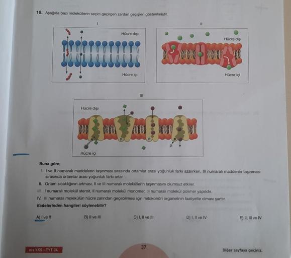 18. Aşağıda bazı moleküllerin seçici geçirgen zarda… Biyoloji 18. Aşağıda bazı moleküllerin seçici geçirgen zarda… Biyoloji