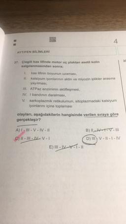 4
AYT/FEN BİLİMLERİ
35
37. Çizgili kas lifinde motor uç plaktan asetil kolin
salgılanmasından sonra;
1.
kas lifinin boyunun uzaması,
II.
kalsiyum iyonlarının aktin ve miyozin iplikler arasına
yayılması,
II. ATPaz enziminin aktifleşmesi,
IV. I bandının daralması,
V. sarkoplazmik retikulumun, sitoplazmadaki kalsiyum
iyonlarını içine toplaması
olayları, aşağıdakilerin hangisinde verilen sıraya göre
gerçekleşir?
A) I - III-V-IV - ||
B) L-HT-V-III
C) II-III-IV-V-
D) III V-
V-11-T-IV
E) III-IV V-1011
