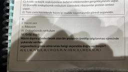 C) Asidik ve bazik reaksiyonların birbirini etkilemeden gerçekleşmesini sağlar.
D) Granüllü endoplazmik retikulum üzerindeki ribozomlar protein sentezi
yapar.
E) Tüm canlı hücrelerde hücre içi madde taşınmasında görevli organeldir.
8.
1. Hücre zari
II. Ribozom
III. Endoplazmik retikulum
IV. Golgi aygıtı
Hücre dışına gönderilecek olan bir proteinin üretilip salgılanması sürecinde
yukarıda verilen
organellerin görev alma sırası hangi seçenekte doğru verilmiştir?
A) II, I, III, IV B) II, III, I, IV C) II, III, IV, ID) IV, II, I, III E) II, IV, III, I