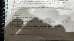 C) Asidik ve bazik reaksiyonların birbirini etkilemeden gerçekleşmesini sağlar.
D) Granüllü endoplazmik retikulum üzerindeki ribozomlar protein sentezi
yapar.
E) Tüm canlı hücrelerde hücre içi madde taşınmasında görevli organeldir.
8.
1. Hücre zari
II. Ribozom
III. Endoplazmik retikulum
IV. Golgi aygıtı
Hücre dışına gönderilecek olan bir proteinin üretilip salgılanması sürecinde
yukarıda verilen
organellerin görev alma sırası hangi seçenekte doğru verilmiştir?
A) II, I, III, IV B) II, III, I, IV C) II, III, IV, ID) IV, II, I, III E) II, IV, III, I
