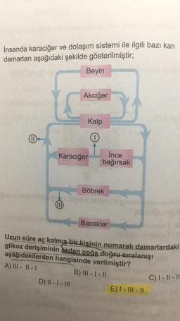 İnsanda karaciğer ve dolaşım sistemi ile ilgili bazı kan
damarları aşağıdaki şekilde gösterilmiştir;
Beyin
Akciğer
Kalp
I
0
Karaciğer
Ince
bağırsak
Böbrek
Bacaklar
Uzun süre aç kalmış bir kişinin numaralı damarlardaki
glikoz derişiminin azdan coğa doğru sıralanışı
aşağıdakilerden hangisinde verilmiştir?
A) III - IL-
B) III - 1 - 11
D) II - I - III
E) I - III - 11
C) 1 - 11 - 11