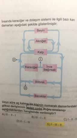 İnsanda karaciğer ve dolaşım sistemi ile ilgili bazı kan
damarları aşağıdaki şekilde gösterilmiştir;
Beyin
Akciğer
Kalp
I
0
Karaciğer
Ince
bağırsak
Böbrek
Bacaklar
Uzun süre aç kalmış bir kişinin numaralı damarlardaki
glikoz derişiminin azdan coğa doğru sıralanışı
aşağıdakilerden hangisinde verilmiştir?
A) III - IL-
B) III - 1 - 11
D) II - I - III
E) I - III - 11
C) 1 - 11 - 11
