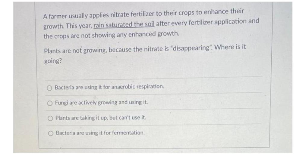 A farmer usually applies nitrate fertilizer to their crops to enhance their
growth. This year, rain saturated the soil after every fertilizer application and
the crops are not showing any enhanced growth.
Plants are not growing, because the nitrate is "disappearing". Where is it
going?
O Bacteria are using it for anaerobic respiration,
O Fungi are actively growing and using it.
O Plants are taking it up, but can't use it.
O Bacteria are using it for fermentation,