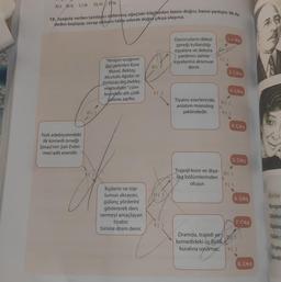 A)l. B) II. c) II. D) IV. V.
15. Aşağıda verilen tanılayici dallanmış ağaçtaki bilgilerden bazısı doğru, bazısı yanlıştır. İlk ifa-
deden başlayıp, cevap oklarini takip ederek doğru çıkışa ulaşınız.
Oyuncuların dekor
gereği kullandığı
eşyalara ve dekora D
yardımcı sahne 15
eşyalarına aksesuar
denir.
YO)
DO
2. Cikis
"Yeniçeri ocağının
ileri gelenleri Kara
Murat, Bektaş,
Mustafa Ağalar ve
Kethüda Bey bekleş-
mektedirler." cüm-
lesindeki altı çizili
kelime zarftır.
3. Cikis
Y()
DC)
Tiyatro eserlerinde,
anlatım monolog
şeklindedir.
DO
Y()
4. Çıkış
Türk edebiyatındaki
ilk komedi örneği
Şinasi'nin Şair Evlen-
mesi adlı eseridir.
5. Çıkış
Trajedi koro ve diya- DO)
log bölümlerinden
oluşur. Y()
D()
Ünite
6. Çıkış
Kişilerin ve top-
lumun aksayan,
gülünç yönlerini
göstererek ders
vermeyi amaçlayan
tiyatro
türüne dram denir.
Biyogra
Otobiy
7. Cikiş
Y()
Tezkire
Filler,
Dramda, trajedi ve Du
komedideki üç birlik
kuralına uyulmaz. Y()
Öz gec
Kendi
8. Çıkış