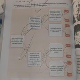 A)l. B) II. c) II. D) IV. V.
15. Aşağıda verilen tanılayici dallanmış ağaçtaki bilgilerden bazısı doğru, bazısı yanlıştır. İlk ifa-
deden başlayıp, cevap oklarini takip ederek doğru çıkışa ulaşınız.
Oyuncuların dekor
gereği kullandığı
eşyalara ve dekora D
yardımcı sahne 15
eşyalarına aksesuar
denir.
YO)
DO
2. Cikis
"Yeniçeri ocağının
ileri gelenleri Kara
Murat, Bektaş,
Mustafa Ağalar ve
Kethüda Bey bekleş-
mektedirler." cüm-
lesindeki altı çizili
kelime zarftır.
3. Cikis
Y()
DC)
Tiyatro eserlerinde,
anlatım monolog
şeklindedir.
DO
Y()
4. Çıkış
Türk edebiyatındaki
ilk komedi örneği
Şinasi'nin Şair Evlen-
mesi adlı eseridir.
5. Çıkış
Trajedi koro ve diya- DO)
log bölümlerinden
oluşur. Y()
D()
Ünite
6. Çıkış
Kişilerin ve top-
lumun aksayan,
gülünç yönlerini
göstererek ders
vermeyi amaçlayan
tiyatro
türüne dram denir.
Biyogra
Otobiy
7. Cikiş
Y()
Tezkire
Filler,
Dramda, trajedi ve Du
komedideki üç birlik
kuralına uyulmaz. Y()
Öz gec
Kendi
8. Çıkış
