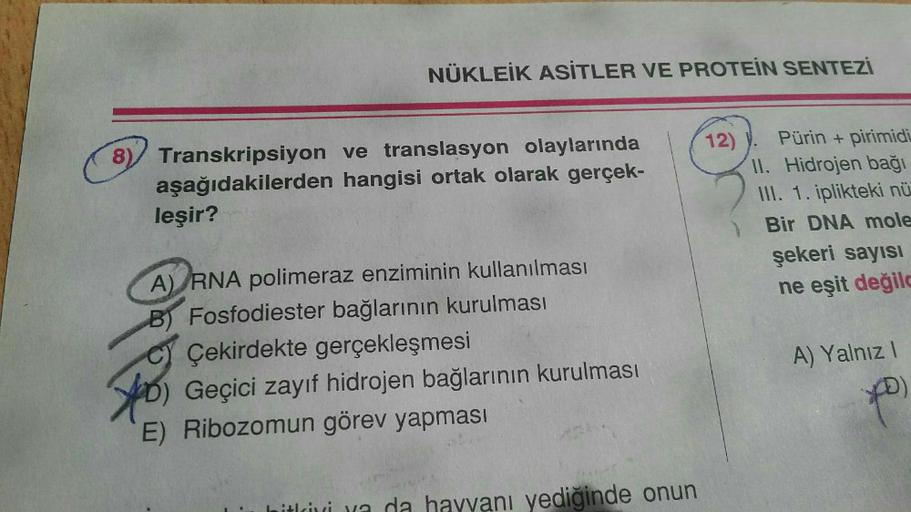 NÜKLEİK ASİTLER VE PROTEIN SENTEZI
8) Transkripsiyon ve translasyon olaylarında
aşağıdakilerden hangisi ortak olarak gerçek-
leşir?
12)
Pürin + pirimidi
II. Hidrojen bağı
III. 1. iplikteki nü
Bir DNA mole
şekeri sayısı
ne eşit değild
A) RNA polimeraz enzim