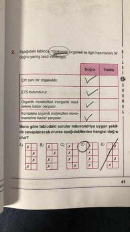 2. Aşağıdaki tabloda mitokondri organeli ile ilgili hazırlanan bir
doğru-yanlış testi verilmiştir.
6
Doğru
Yanlış
Çift zarlı bir organeldir.
$
ETS bulundurur.
v
✓
Organik molekülleri inorganik mad-
delere kadar parçalar.
Kompleks organik molekülleri mono-
merlerine kadar parçalar.
✓
Buna göre tablodaki sorular mitokondriye uygun şekil-
de cevaplanacak olursa aşağıdakilerden hangisi doğru
olur?
A) B) ) D)
E)
X
X
X
X
X
X X
X
X
X
X
X
X X
X
HEWA
41
ini