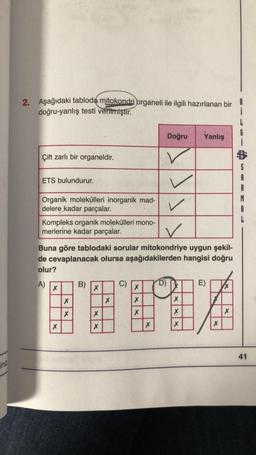 2. Aşağıdaki tabloda mitokondri organeli ile ilgili hazırlanan bir
doğru-yanlış testi verilmiştir.
6
Doğru
Yanlış
Çift zarlı bir organeldir.
$
ETS bulundurur.
v
✓
Organik molekülleri inorganik mad-
delere kadar parçalar.
Kompleks organik molekülleri mono-
merlerine kadar parçalar.
✓
Buna göre tablodaki sorular mitokondriye uygun şekil-
de cevaplanacak olursa aşağıdakilerden hangisi doğru
olur?
A) B) ) D)
E)
X
X
X
X
X
X X
X
X
X
X
X
X X
X
HEWA
41
ini
