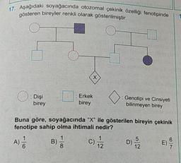 17. Aşağıdaki soyağacında otozomal çekinik özelliği fenotipinde
gösteren bireyler renkli olarak gösterilmiştir.
x
O
: Dişi
birey
: Erkek
birey
: Genotipi ve Cinsiyeti
bilinmeyen birey
Buna göre, soyağacında “X” ile gösterilen bireyin çekinik
fenotipe sahip olma ihtimali nedir?
A)
C) 12
B)
8
01
5
D)
12
E)
