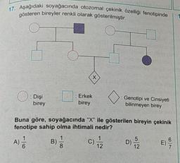 17. Aşağıdaki soyağacında otozomal çekinik özelliği fenotipinde
gösteren bireyler renkli olarak gösterilmiştir.
x
O
: Dişi
birey
: Erkek
birey
: Genotipi ve Cinsiyeti
bilinmeyen birey
Buna göre, soyağacında “X” ile gösterilen bireyin çekinik
fenotipe sahip olma ihtimali nedir?
A)
C) 12
B)
8
01
5
D)
12
E)
