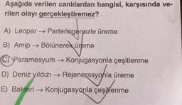 Aşağıda verilen canlılardan hangisi, karşısında ve-
rilen olayı gerçekleştiremez?
A) Leopar + Partenogenezle üreme
B) Amip → Bölünerek üreme
© Paramesyum → Konjugasyonla çeşitlenme
-
D) Deniz yıldızı → Rejenerasyonla üreme
-
E) Bakteri → Konjugasyonla çeşitlenme