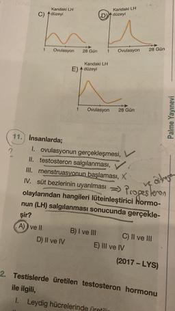 Kandaki LH
C) A düzeyi
Kandaki LH
düzeyi
1
Ovulasyon
1
28 Gün
Ovulasyon
28 Gün
Kandaki LH
E) A düzeyi
1
Ovulasyon
28 Gün
Palme Yayınevi
2
11. İnsanlarda;
I. ovulasyonun gerçekleşmesi,
II. testosteron salgılanması,
III. menstruasyonun başlaması, X
teron
olaylarından hangileri lüteinleştirici Hormo-
nun (LH) salgılanması sonucunda gerçekle-
IV. süt bezlerinin uyarılması => Progeste
ve ostrogen
şir?
A) ve il
D) II ve IV
B) I ve III
C) II ve III
E) III ve IV
(2017 - LYS)
2. Testislerde üretilen testosteron hormonu
ile ilgili,
I. Leydig hücrelerinde üretilir
